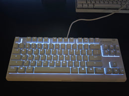 SteelSeries Apex 3 TKL (Balta) 2