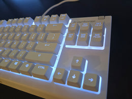 SteelSeries Apex 3 TKL (Balta) 3