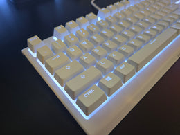 SteelSeries Apex 3 TKL (Balta) 4