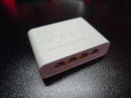 Gigabit Ethernet Spliteris 1x4 — 1000Mbps su USB-C maitinimu 2