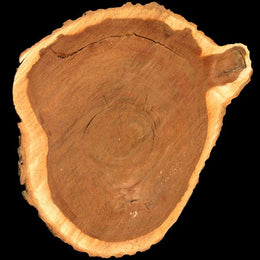 Kent 7