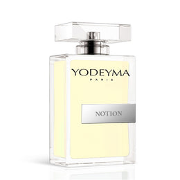 Notion 1