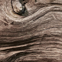 OSEUS 7